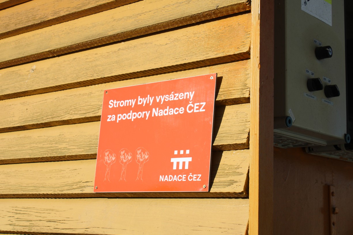 Výsadba zeleně ZŠ a MŠ Osečná - fotografie 16