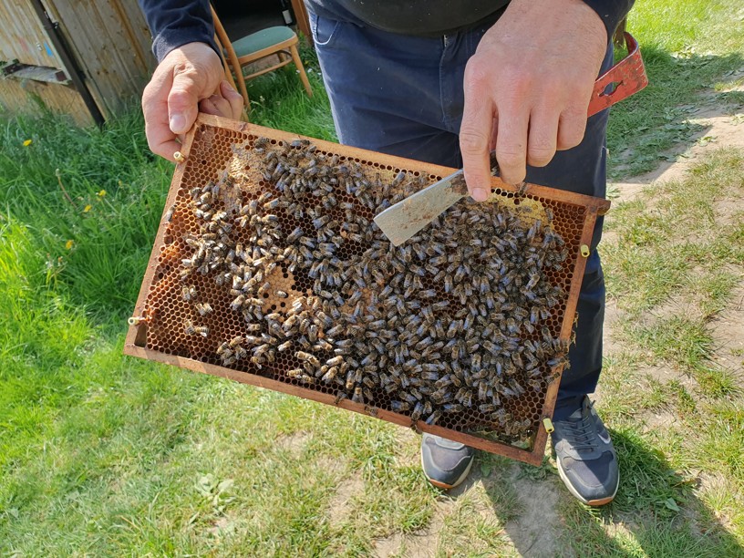 Včelí exkurze - fotografie 6