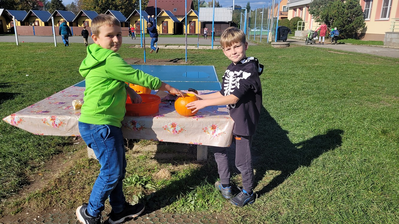 Dýně - fotografie 7