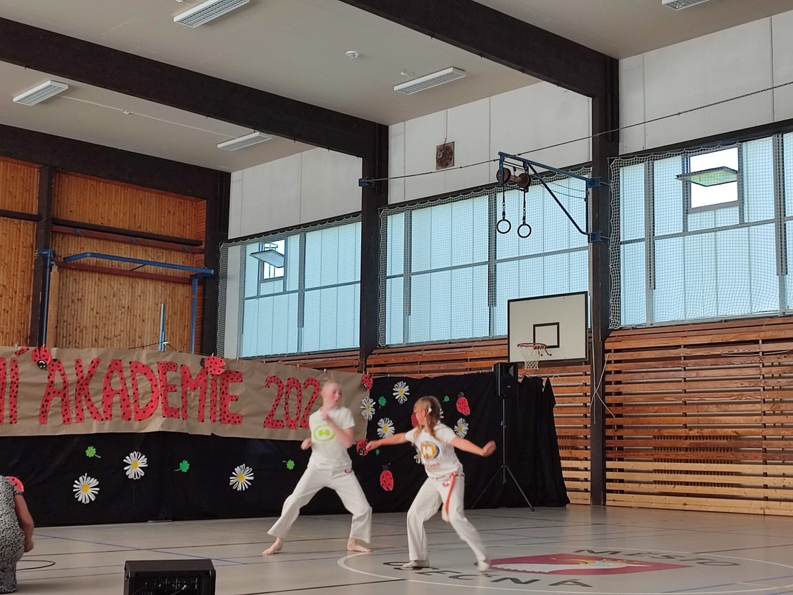 Školní akademie - fotografie 20