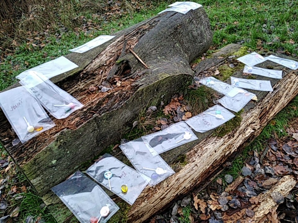 Předškoláci- výlet k čertovské skále - fotografie 13